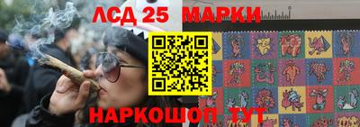 PSILOCYBIN Будённовск