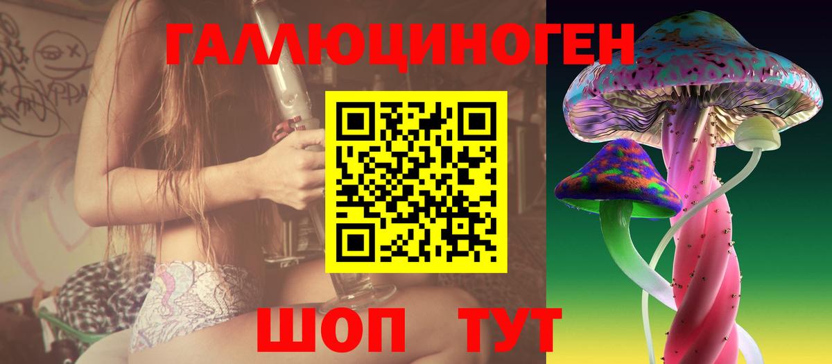 Псилоцибиновые грибы мицелий Чехов